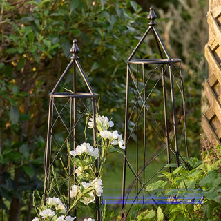 Ivy Plant Trellis | Set of 3 $290
