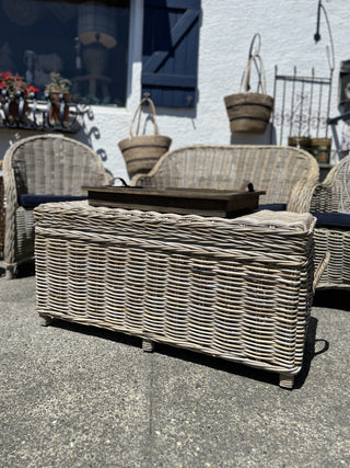 Cane Trunk | With Handles
