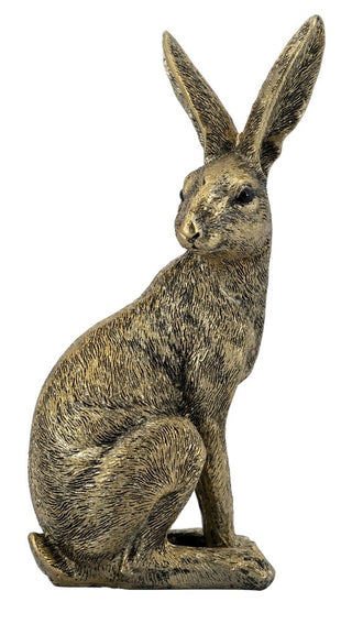 Gold Rabbit | Sitting