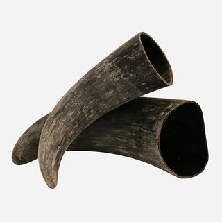 Decorative Natural Horn