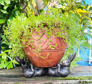 Hare Feet Up Pot Holder | S/3