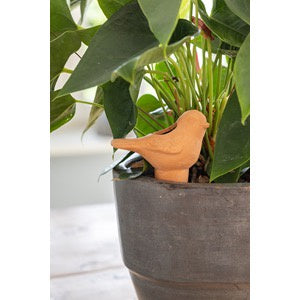 Plant Waterer | Terracotta Bird
