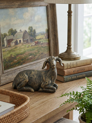 Goat | Lying Down