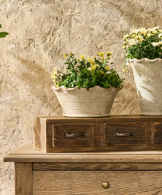 Wavy Planter Bowl