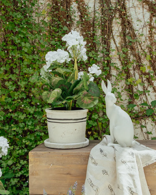 Harold the Hare Small Turning
