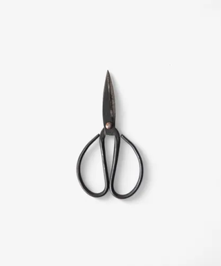 Black Herb Scissors