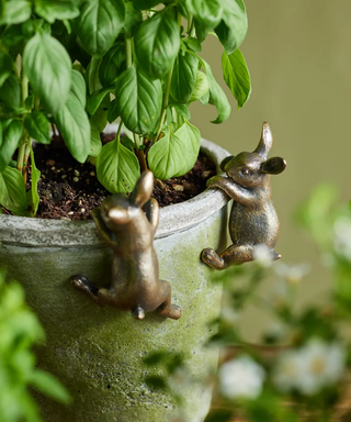 Hanging Bunny