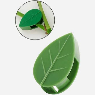 Indoor Plant Wall Clip | Pk 10