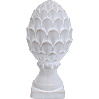 Acorn | Medium