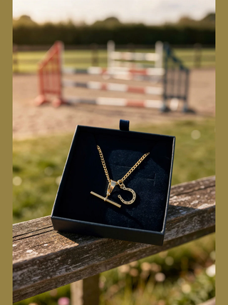 Horseshoe Toggle Necklace