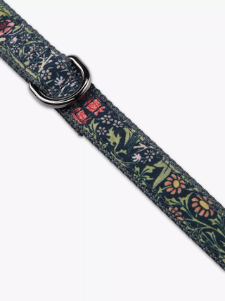 Dog Collar