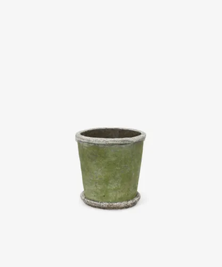 Evergreen Plant Pot & Saucer