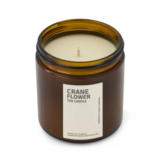 Crane Flower | The Candle
