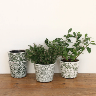 Green & White Patterned Planter